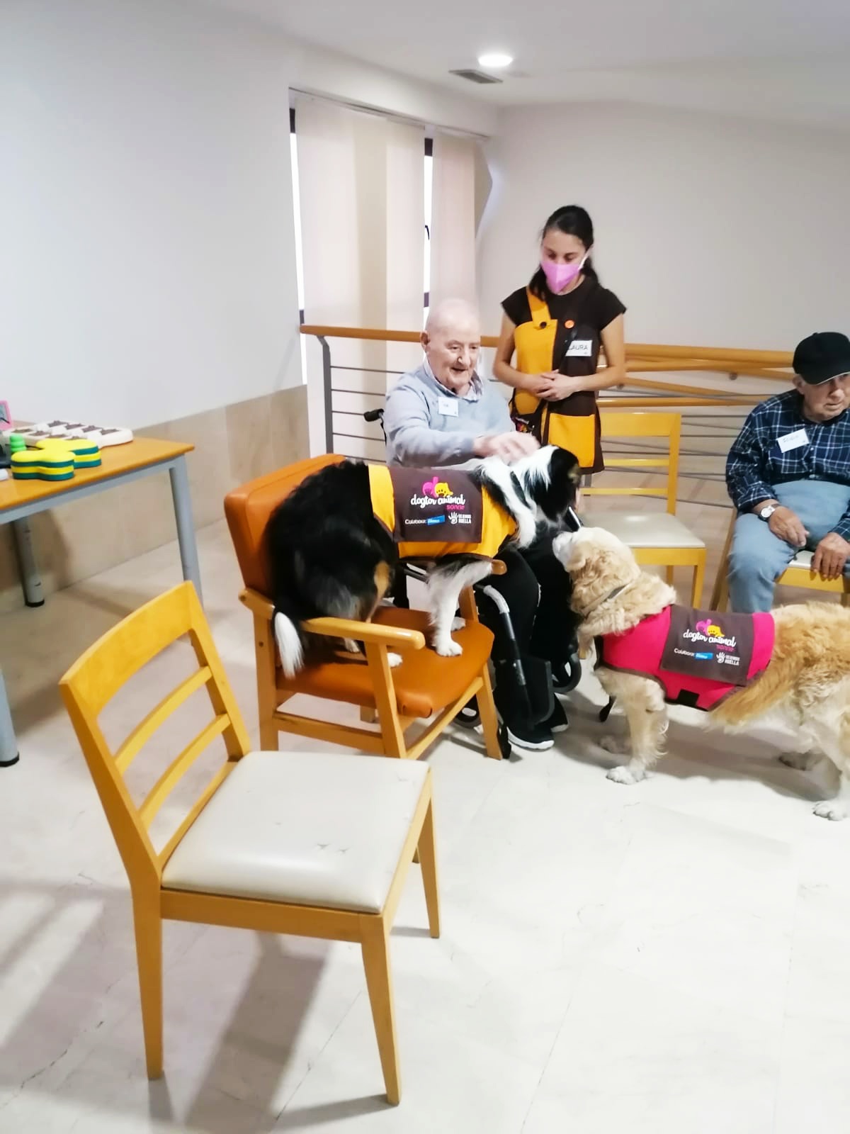 Terapia asistida con animales en Rosalba Sevilla la Nueva