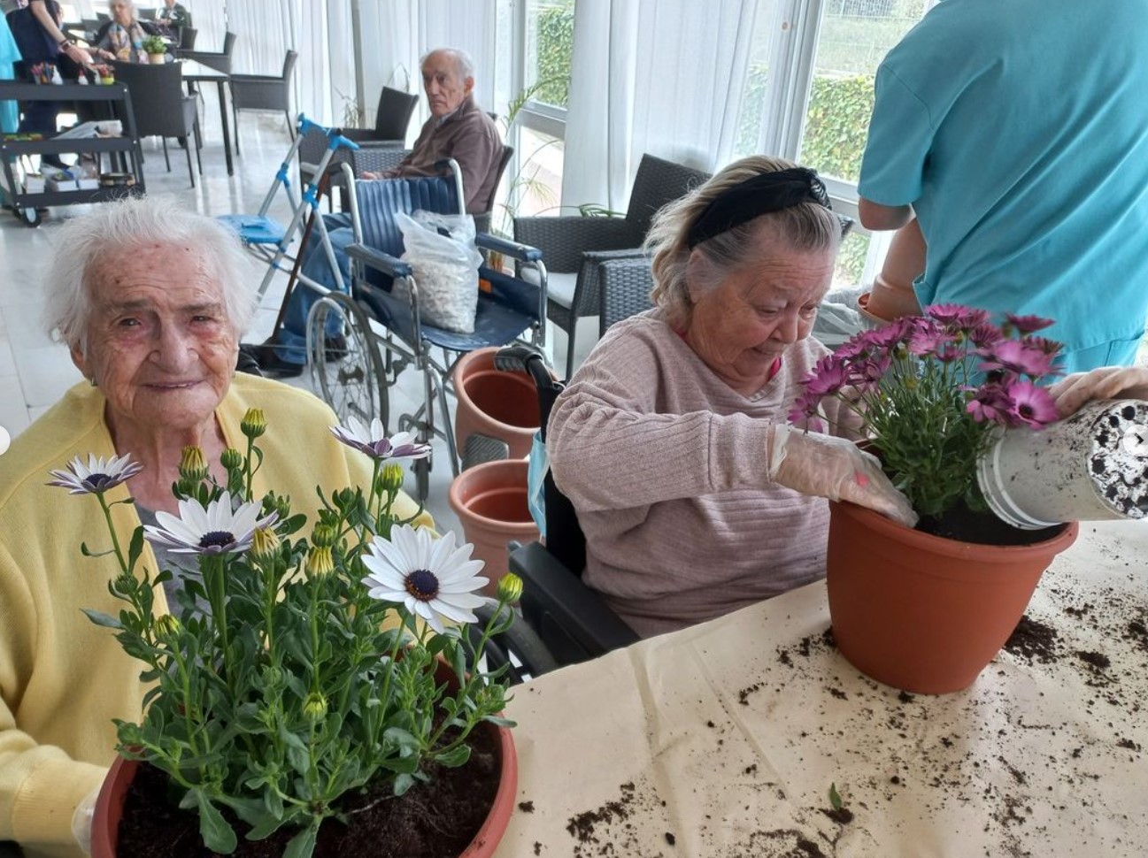 La primavera ha llegado a Urbanización de Mayores