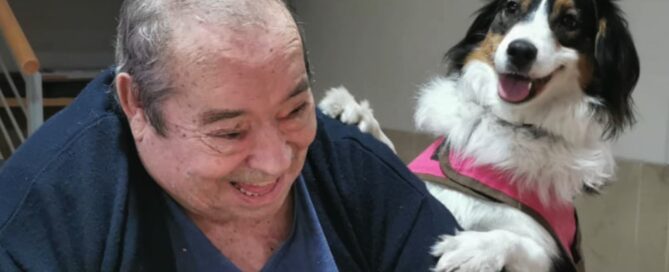 Terapia con animales residencia de ancianos
